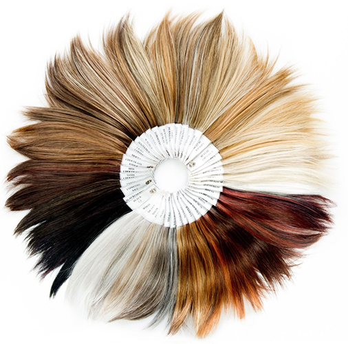 Wheel of hair colours